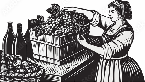 Harvest season excitement with woman picking grapes, rustic charm, wine making, vintage style illustration