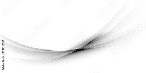 gray and white abstract background modern vector illustration