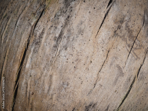 Close-up of the texture of a dried coconut shell showing natural brown fibers and organic surface patterns. Perfect for tropical, food, and eco-themed backgrounds