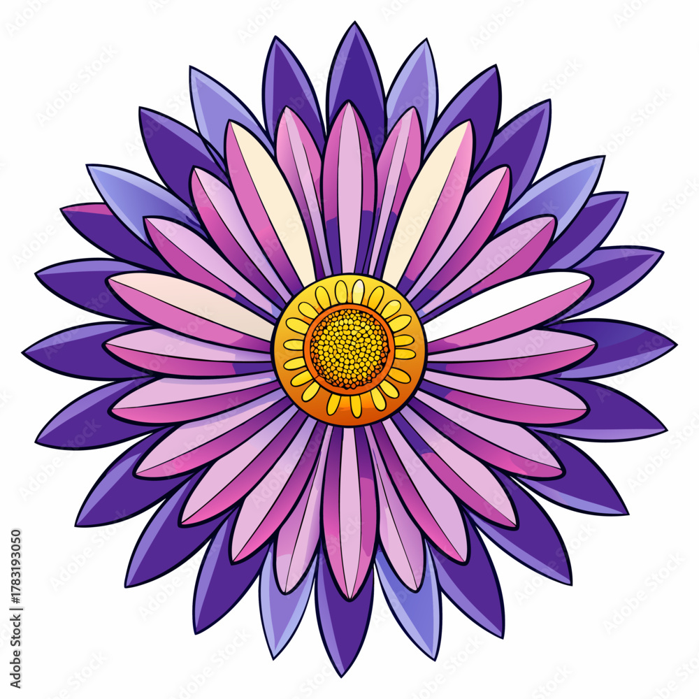 Fototapeta premium african daisy flower on white background