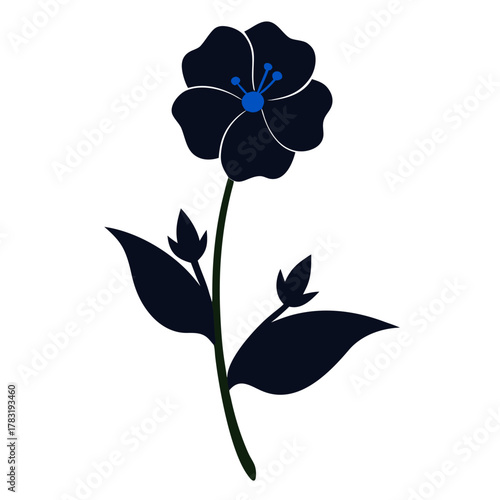 siberian bugloss flower silhouette on white background