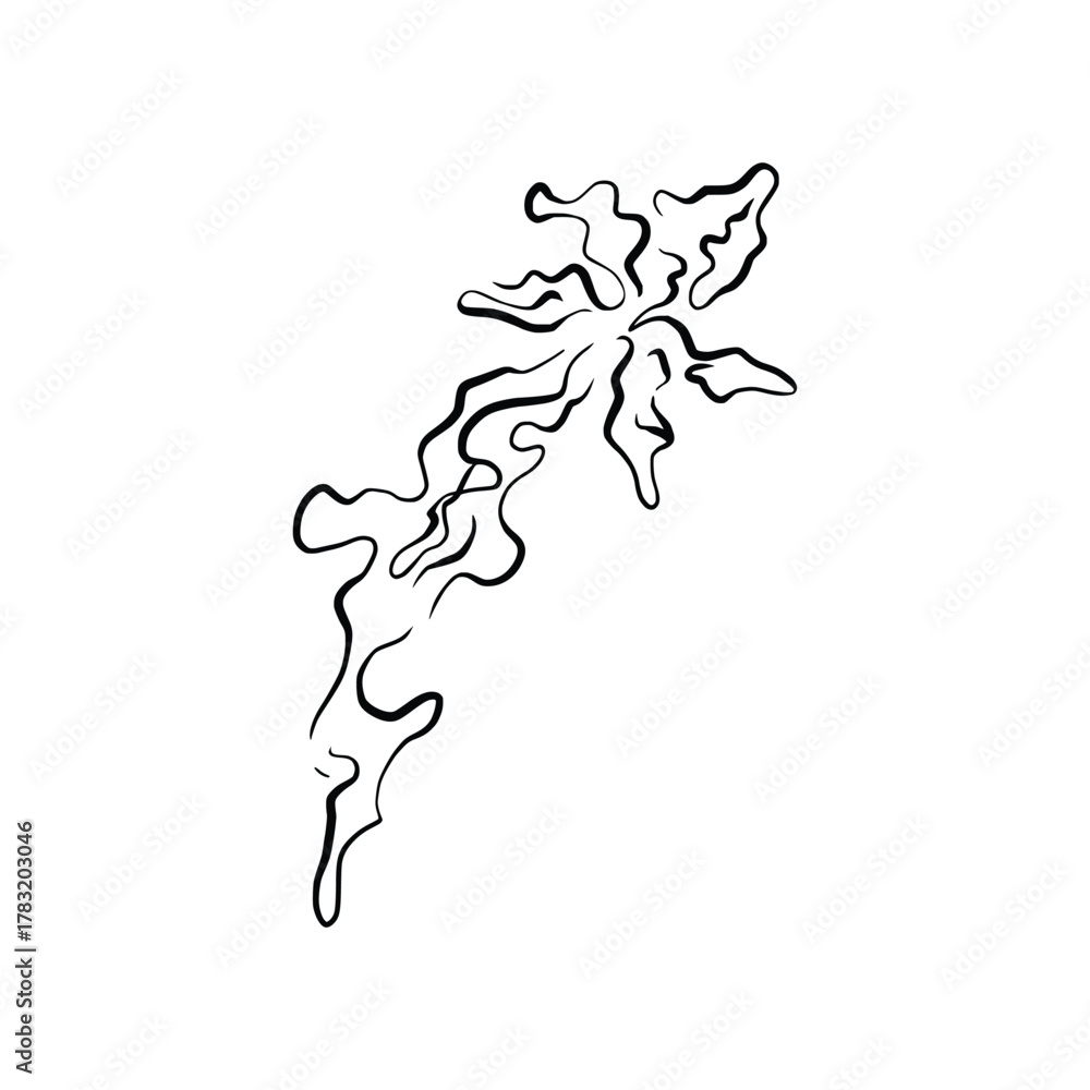 Fototapeta premium Hand drawn floral compositions in line art style. Elegant frame of flowers, stems and leaves. Trendy botanical elements. Vector illustration for logo or tattoo, save the date card, wedding invitation