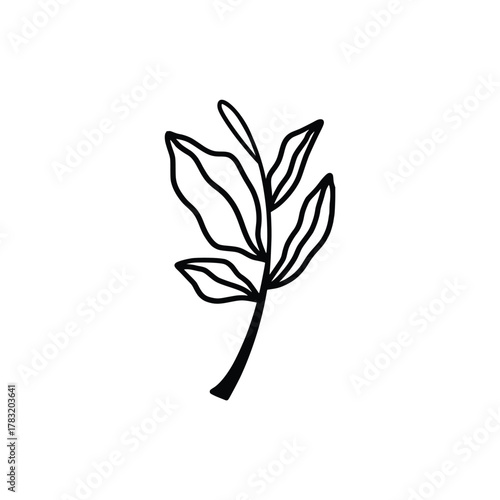 Hand drawn floral compositions in line art style. Elegant frame of flowers, stems and leaves. Trendy botanical elements. Vector illustration for logo or tattoo, save the date card, wedding invitation