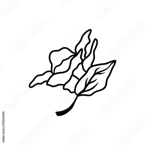 Hand drawn tattoo nature floral flowers, branches and leaves in line art style. Collection of sketches of botanical elements
