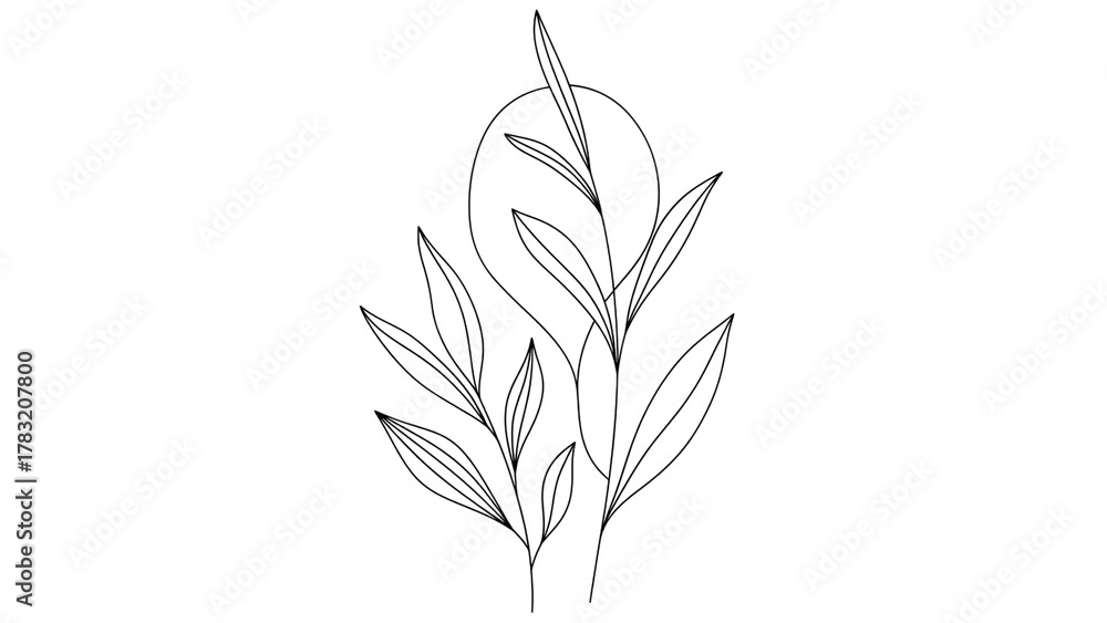 Obraz premium Delicate botanical line art illustration, minimal plant leaves and stems, simple black line drawing, modern floral design, organic shapes, contemporary botanical print, clean lines, illustration