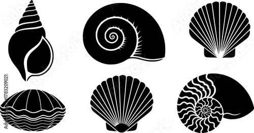 Shell vector black set icon. Vector illustration set shell sea. Isolated icon black seashell on white background .
