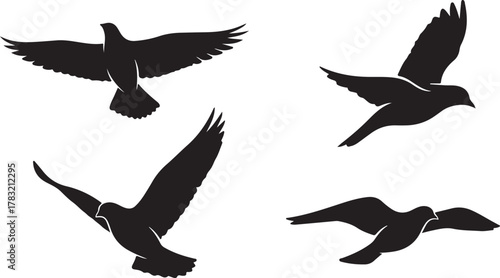 Four dynamic black bird silhouettes in various flight poses against a clean white background