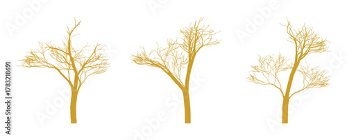 Golden bare trees silhouettes isolated on white backdrop representing autumn or winter season