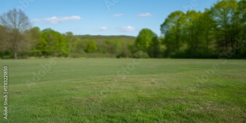 Fototapeta Naklejka Na Ścianę i Meble -  Green meadow with trees under a blue sky on a sunny day