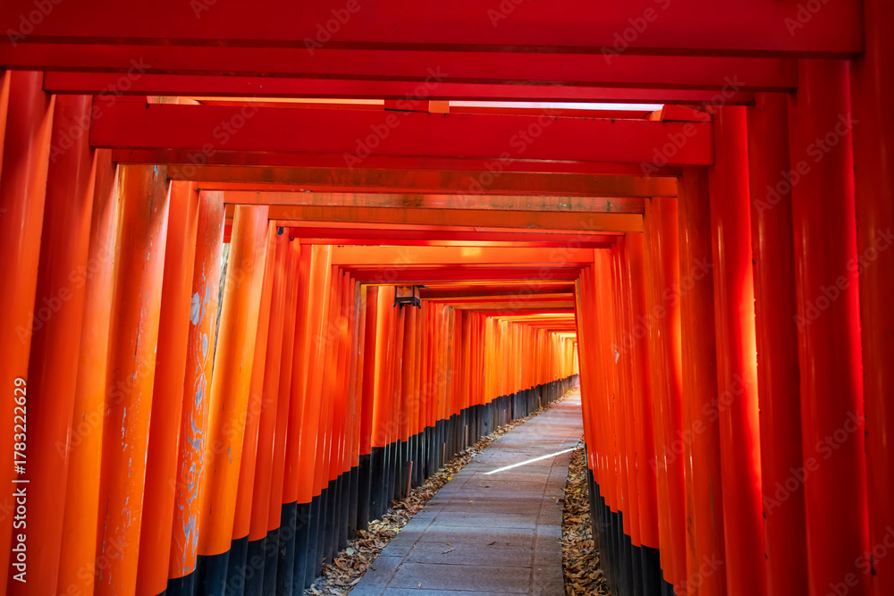 Fototapeta premium Red Torii gate archway landmark of Fushimi Inari shrine, Kyoto