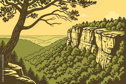 “Ozark National Forest with cliffs and forest canopy, earthy vector”