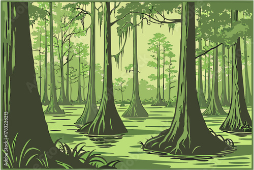 “Francis Marion Forest with swamp and cypress trees, southern vector”