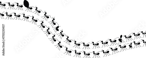 Ant Colony Silhouette Vector: Wavy Line of Ants Carrying Object, Teamwork, Nature Illustration