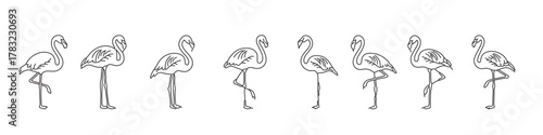 Editable flamingo line icon set – hand drawn outline, standing flamingo, minimal tropical bird illustration