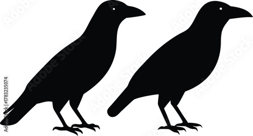 Black bird, black silhouette, raven, crow, dark bird, minimalistic bird illustration
