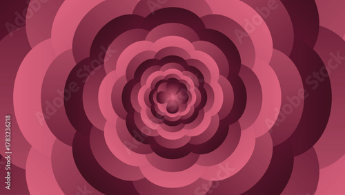Concentric pink and red rose petal abstract background