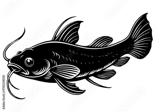 Catfish — Bottom-Dwelling Freshwater Fish of American Rivers and Lakes