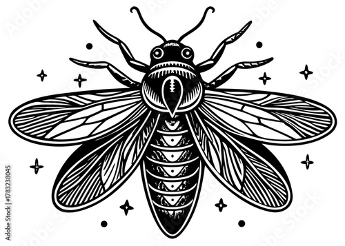 Firefly — Glowing Insect Lighting Up Summer Nights in America