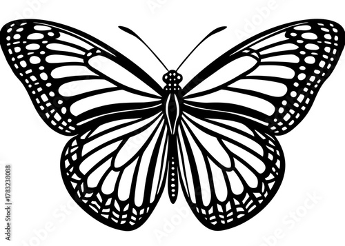 Monarch Butterfly — Iconic Orange Migrating Insect of North America