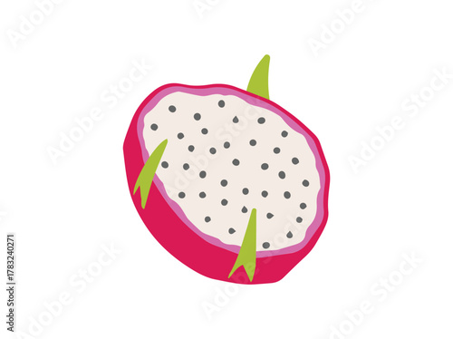 Tropical Dragon Fruit Slice Illustration
