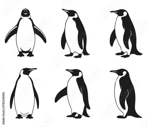 vector silhouettes set of penguin  in standing positions