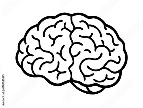 human brain vector illustration
