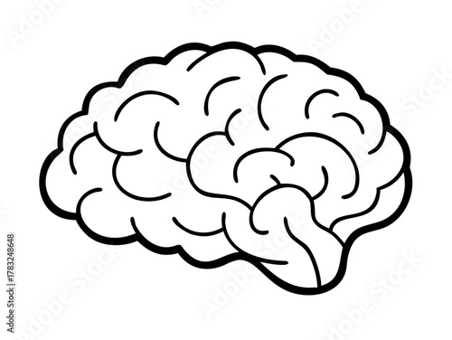 human brain vector illustration

