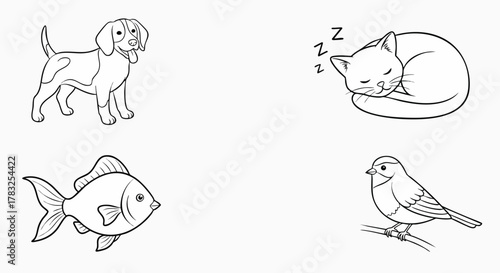 Simple black and white pet and animal outlines vector illustration coloring book kids doodle lineart flat design