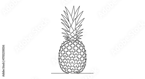 Pineapple outline drawing fruit food