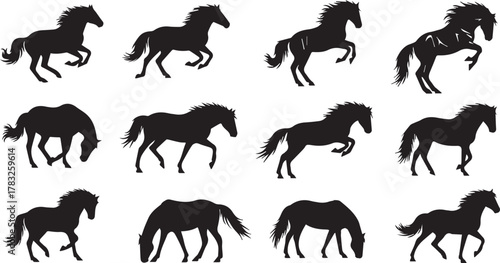Dynamic Horse Silhouette Set Prompt and Tags