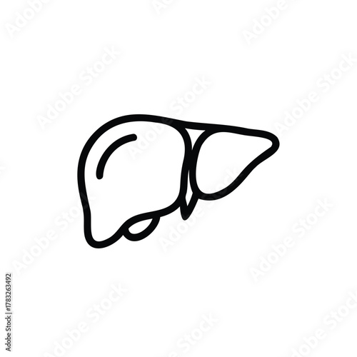 Human Liver Outline organ anatomy