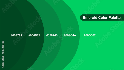 Emerald color palette with rich green tones from dark to bright, perfect for branding, packaging, nature themes, digital design, and modern visual identity.