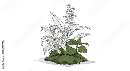 Self-Sustaining Biome and Closed-Loop Ecological System Line Art Vector