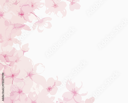 A beautiful vector illustration featuring delicate pink cherry blossoms gracefully framing a pristine white background, perfect for spring themes and elegant designs.