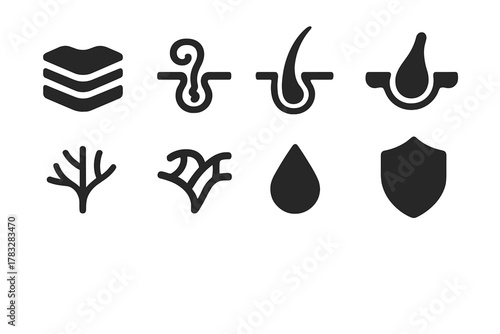 Skin Function Icons. Function of the Skin. Filled icon set of Function of the Skin: epidermis layers, sweat