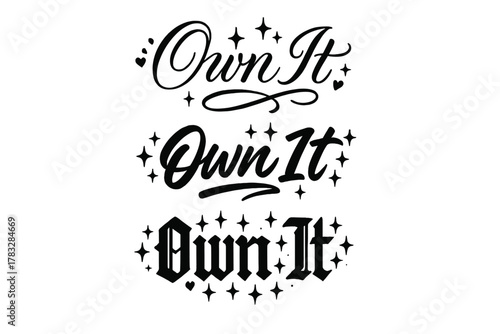 Calligraphy Variations. Own It. Create a calligraphy lettering illustration of the phrase: Own It. Render 3