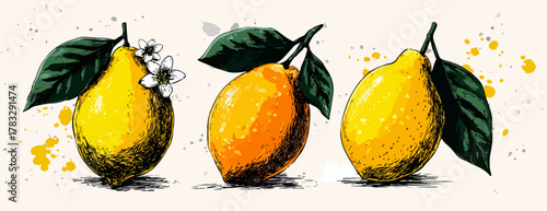 Trois citrons jaunes dessinés à la main avec des feuilles vertes et des éclaboussures de peinture.