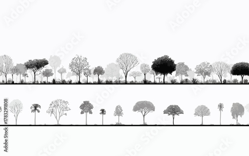 Vecteur de silhouettes d'arbres variés en noir et blanc sur fond blanc, bordure décorative.