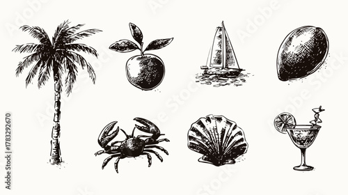 Ensemble d'illustrations vectorielles dessinées à la main sur le thème de l'été et des vacances.