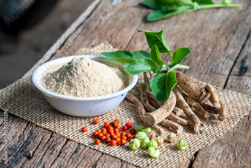 Withania Somnifera, Ashwagandha, Indian Ginseng, Poison Gooseberry or Winter Cherry on the wooden Background. Medicinal Herb