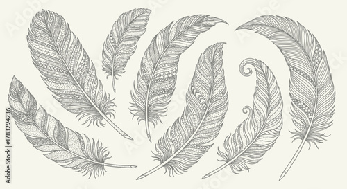 A collection of intricately detailed, hand-drawn feathers with delicate patterns and textures.