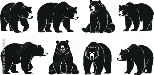 Bear silhouette vector set, black and white animal illustrations, walking and sitting poses, stylized fur detail, wildlife clipart, nature design