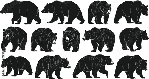 Bear silhouette vector set, black animal illustrations, walking and standing poses, side profile artwork, fur detail, wildlife clipart, nature design