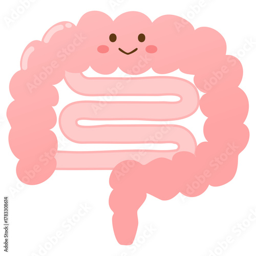 健康な腸のかわいいイラスト