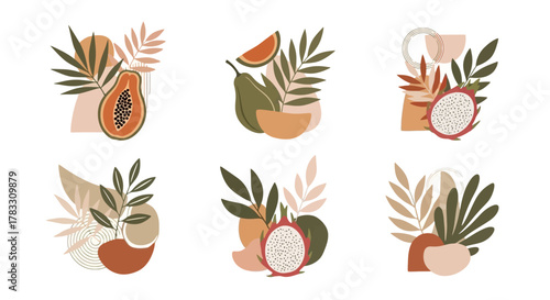 Tropical Fruits and Foliage Abstract Composition Collection