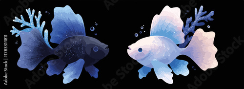 Dois peixes bettas de cores contrastantes nadam lado a lado em um fundo escuro com corais azuis.