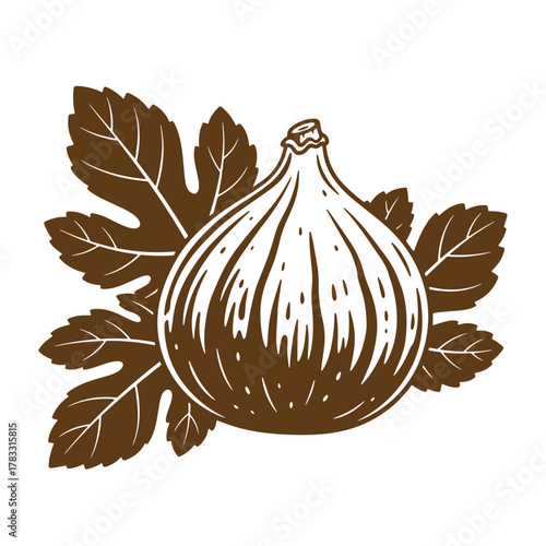Vintage art illustration of a ripe fig fruit with leaves on a clean white background