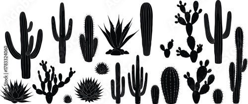 Cactus silhouette, succulent vector, desert plant illustration, botanical art, agave drawing, nature design, cad drawing flat vector illustration