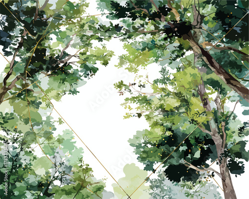 Prospettiva dal basso verso l'alto di alberi verdi lussureggianti con un cielo bianco luminoso