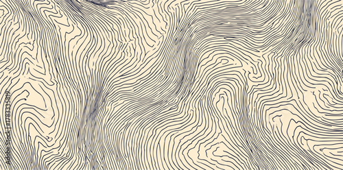 Un'illustrazione vettoriale astratta che ricorda le linee topografiche, creando un motivo dinamico e avvolgente, ideale per sfondi creativi.